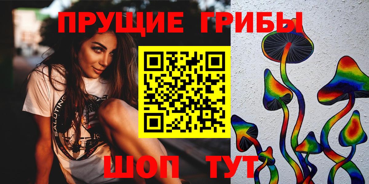 Кириши  где купить наркотик  Вход с VPN  Псилоцибиновые грибы GOLDEN TEACHER  Псилоцибиновые грибы мицелий 